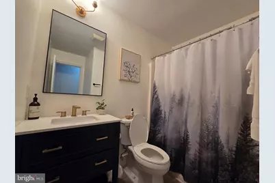 323 Palmer Road, Basye, VA 22810 - Photo 43