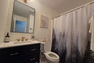 323 Palmer Rd, Basye, VA 22810 - Photo 43