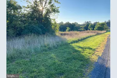 Tbd Signal Knob, Strasburg, VA 22657 - Photo 7