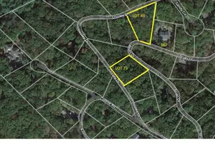 Lot 75 Dooley, Basye, VA 22810 - Photo 1