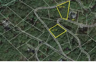Lot 75 Dooley, Basye, VA 22810 - Photo 1