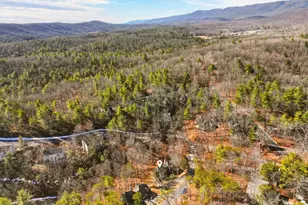 331A King, Basye, VA 22810 - Photo 39