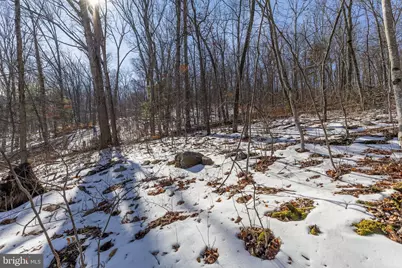 Lot 5A Mash Lane, Edinburg, VA 22824 - Photo 11