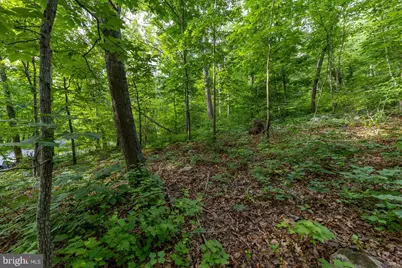 Lot 5A Mash Lane, Edinburg, VA 22824 - Photo 5