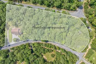 100 Nazareth Dr, Fort Valley, VA 22652 - Photo 65