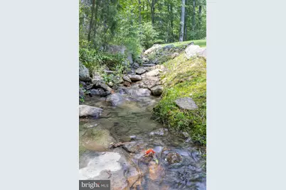 100 Nazareth Drive, Fort Valley, VA 22652 - Photo 71