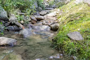 100 Nazareth Dr, Fort Valley, VA 22652 - Photo 71