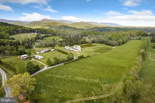 278 Little Mountain Ln, Edinburg, VA 22824 - Photo 63