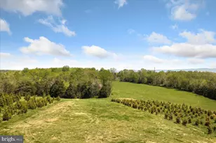 278 Little Mountain Ln, Edinburg, VA 22824 - Photo 61