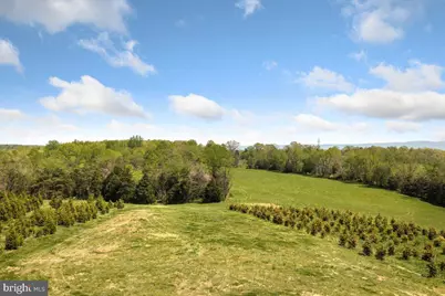 278 Little Mountain Lane, Edinburg, VA 22824 - Photo 59