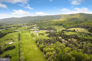 278 Little Mountain Ln, Edinburg, VA 22824 - Photo 69