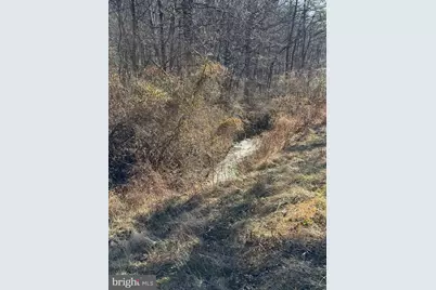 Lot 55 Moreland Gap, New Market, VA 22844 - Photo 5