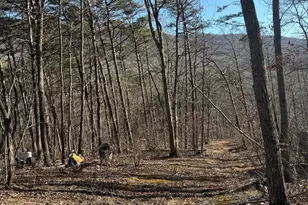 Lot 55 Moreland Gap, New Market, VA 22844 - Photo 1