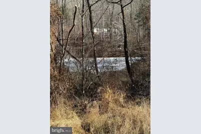 Lot 55 Moreland Gap, New Market, VA 22844 - Photo 3