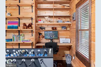 193 Ash Lane, Mount Jackson, VA 22842 - Photo 19