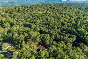 193 Ash Ln, Mount Jackson, VA 22842 - Photo 63