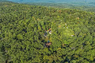 193 Ash Ln, Mount Jackson, VA 22842 - Photo 65