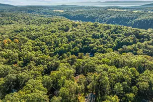 193 Ash Ln, Mount Jackson, VA 22842 - Photo 51