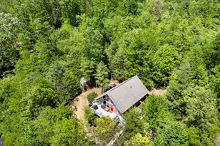 304 Holly Ridge Rd, Mount Jackson, VA 22842 - Photo 27