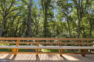 291 Judd Ln, Mount Jackson, VA 22842 - Photo 27