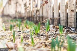 29674 Old Valley Pike, Strasburg, VA 22657 - Photo 37