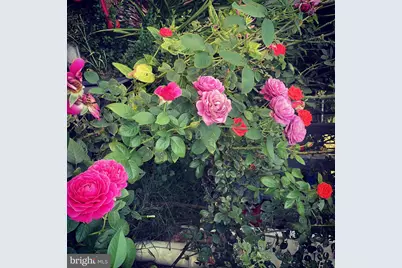 29674 Old Valley Pike, Strasburg, VA 22657 - Photo 43