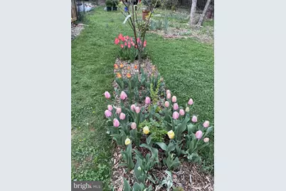 29674 Old Valley Pike, Strasburg, VA 22657 - Photo 37