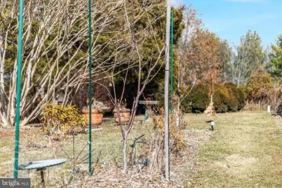 29674 Old Valley Pike, Strasburg, VA 22657 - Photo 21