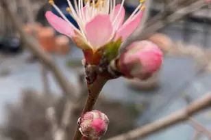 29674 Old Valley Pike, Strasburg, VA 22657 - Photo 39