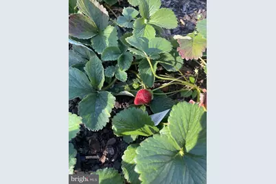 29674 Old Valley Pike, Strasburg, VA 22657 - Photo 39