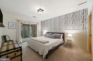 7545 Supinlick Ridge Rd, Mount Jackson, VA 22842 - Photo 33