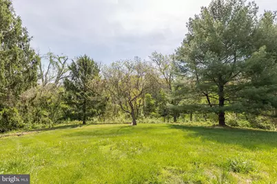 405 Spring Hollow Road, Woodstock, VA 22664 - Photo 87