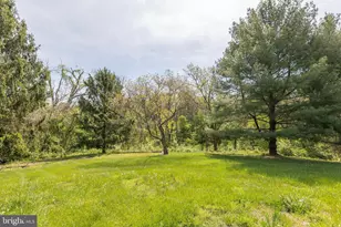 405 Spring Hollow Rd, Woodstock, VA 22664 - Photo 87