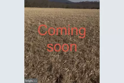 322 Alsberry Street, Strasburg, VA 22657 - Photo 1