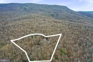 308 Brush Leaf Ln, Mount Jackson, VA 22842 - Photo 45