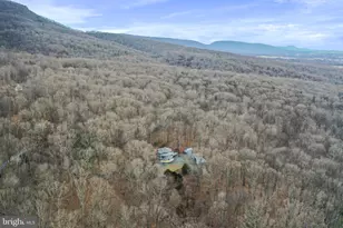 308 Brush Leaf Ln, Mount Jackson, VA 22842 - Photo 55