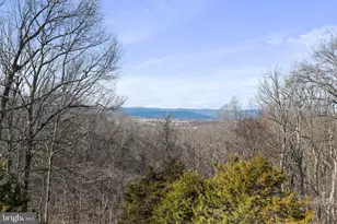 308 Brush Leaf Ln, Mount Jackson, VA 22842 - Photo 23