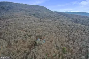 308 Brush Leaf Ln, Mount Jackson, VA 22842 - Photo 57