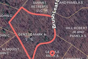 308 Brush Leaf Ln, Mount Jackson, VA 22842 - Photo 47