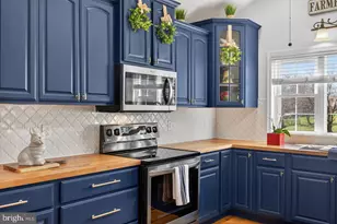 798 Turkey Knob Rd, Quicksburg, VA 22847 - Photo 13