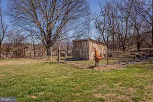 798 Turkey Knob Rd, Quicksburg, VA 22847 - Photo 69