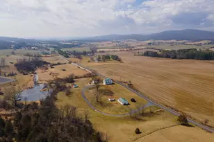 3345 Conicville Rd, Mount Jackson, VA 22842 - Photo 45