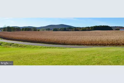 3345 Conicville Road, Mount Jackson, VA 22842 - Photo 7