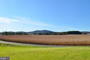 3345 Conicville Rd, Mount Jackson, VA 22842 - Photo 7