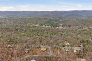 8258 Supinlick Ridge Rd, Basye, VA 22842 - Photo 41