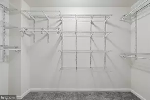 8258 Supinlick Ridge Rd, Basye, VA 22842 - Photo 29