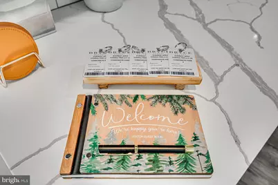 1355 Greenview Drive, Basye, VA 22810 - Photo 33