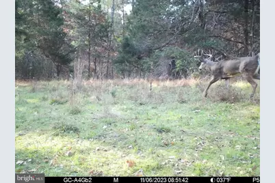 0 Boyer Road, Fort Valley, VA 22652 - Photo 31