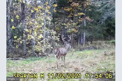 0 Boyer Road, Fort Valley, VA 22652 - Photo 35