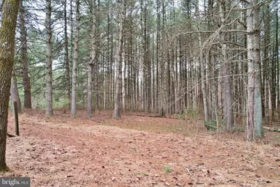 0 Boyer Road, Fort Valley, VA 22652 - Photo 17
